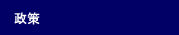 政策
